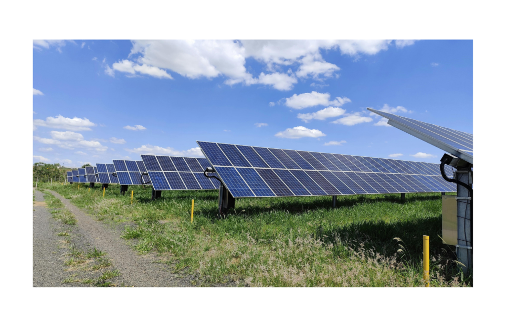 Sunnova WARN class action. View of numerous solar panels in a rural field.