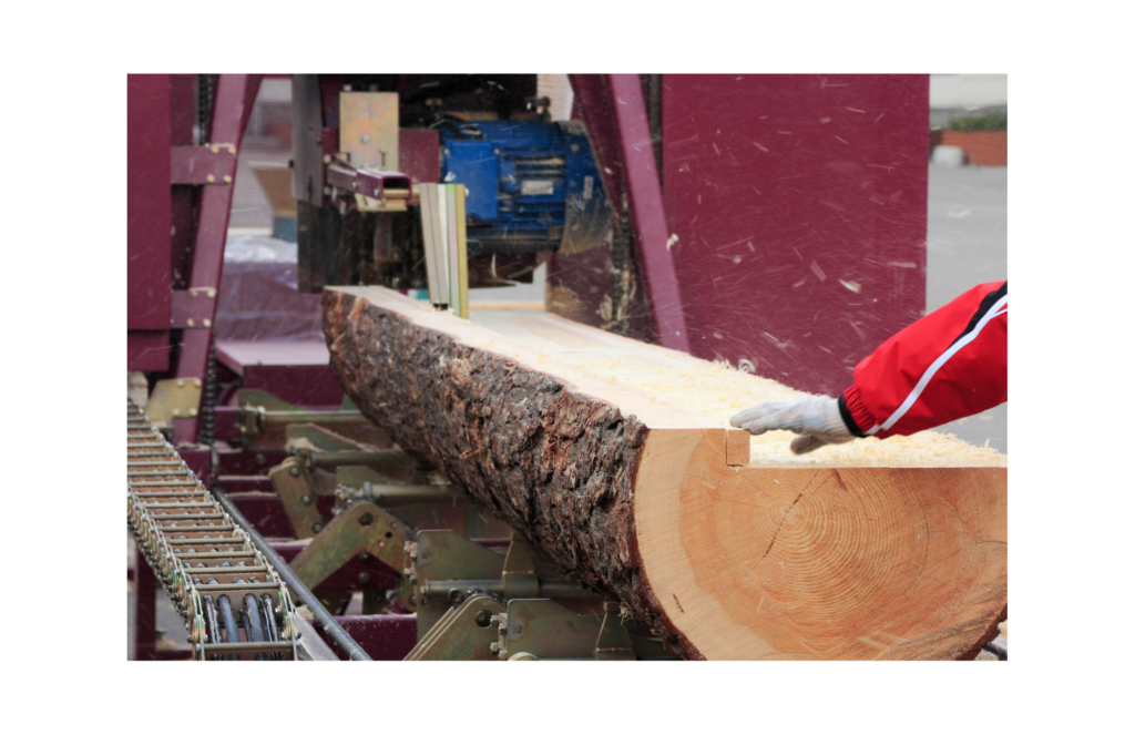 Klausner Lumber One WARN case. View of a person running a high-tech saw mill. There is a long pine log being cut into boards.