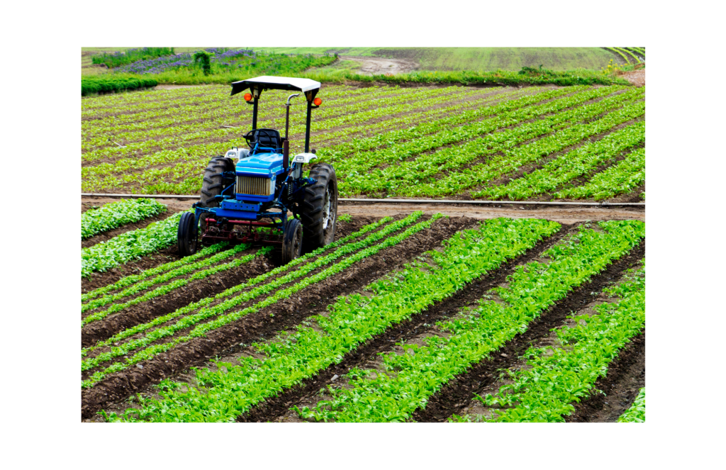 Gro Intel WARN class action. View of a blue tractor in a large well maintained field of green vegetation. An unplanted field is in the background.