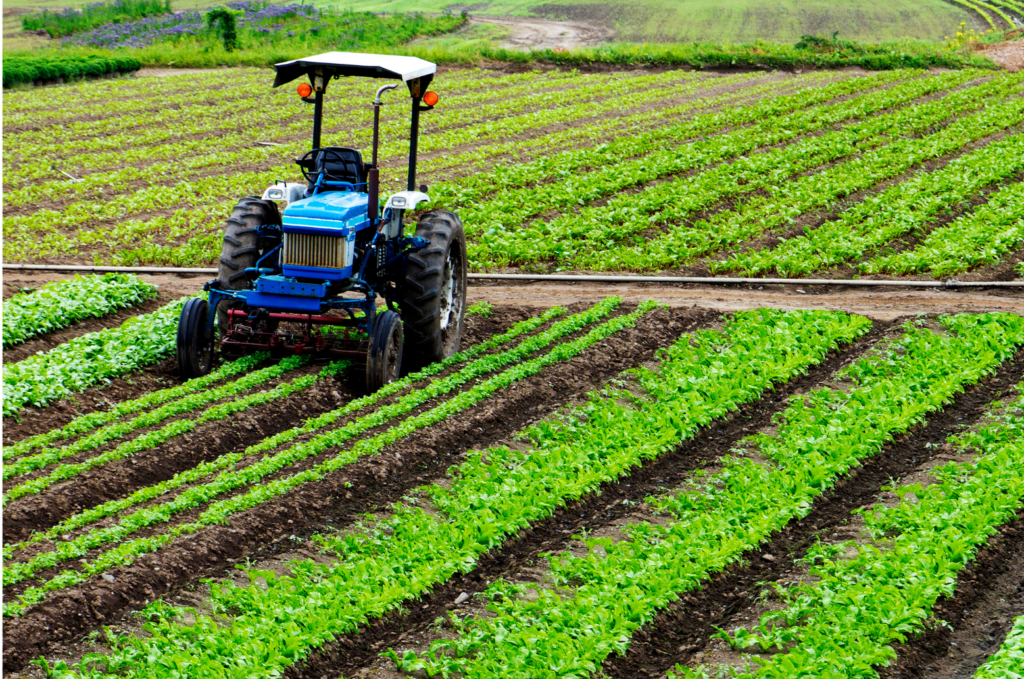 Gro Intel WARN class action. View of a blue tractor in a large well maintained field of green vegetation. An unplanted field is in the background.