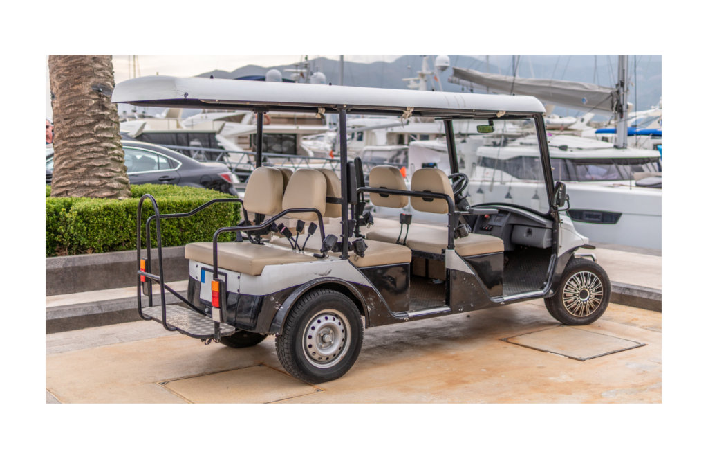 The Wise Company WARN class action. View of a six seat golf cart parked alongside an upscale marina with numerous sail and power boats in the background.